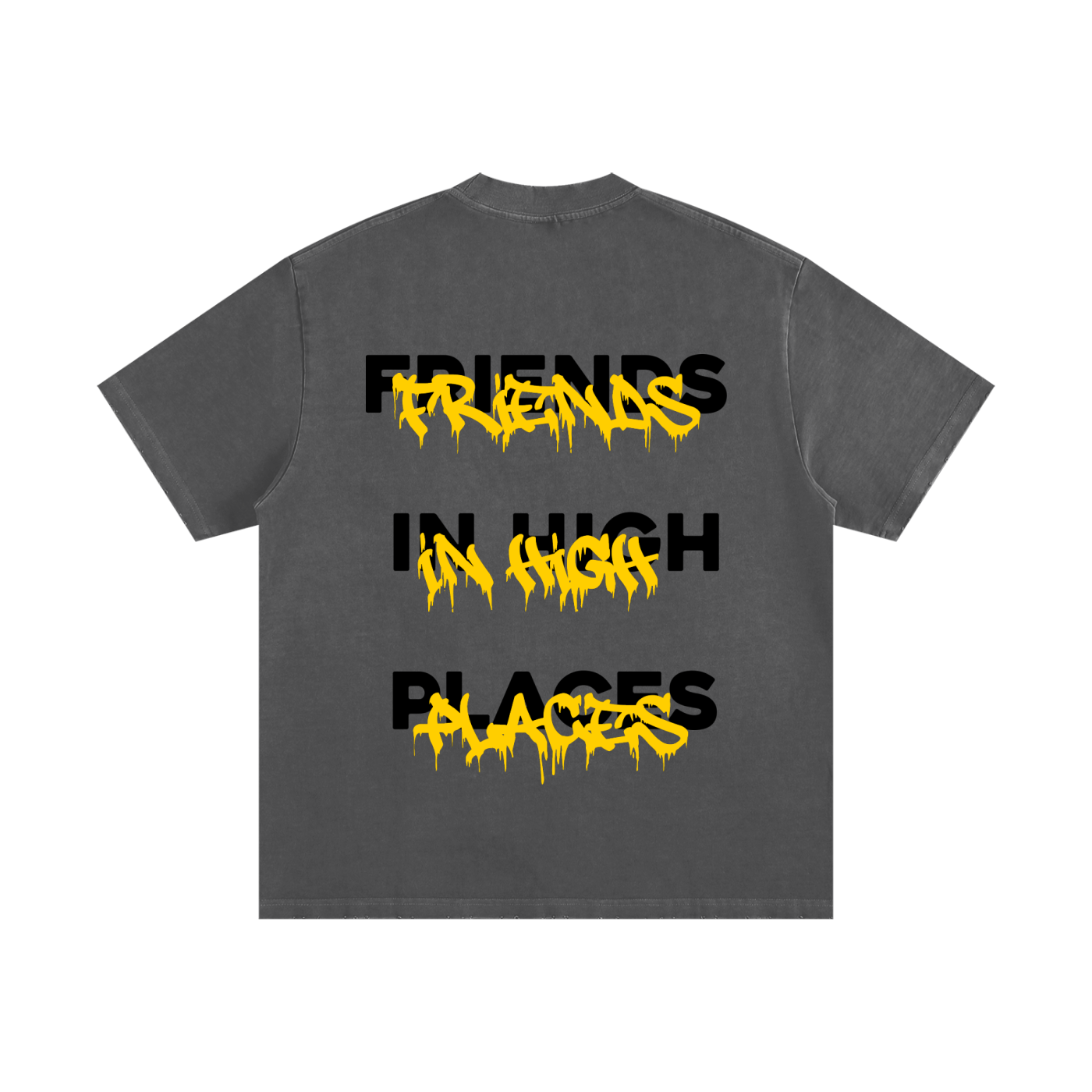FRIENDS IN HIGH PLACES (PREMIUM) T SHIRT