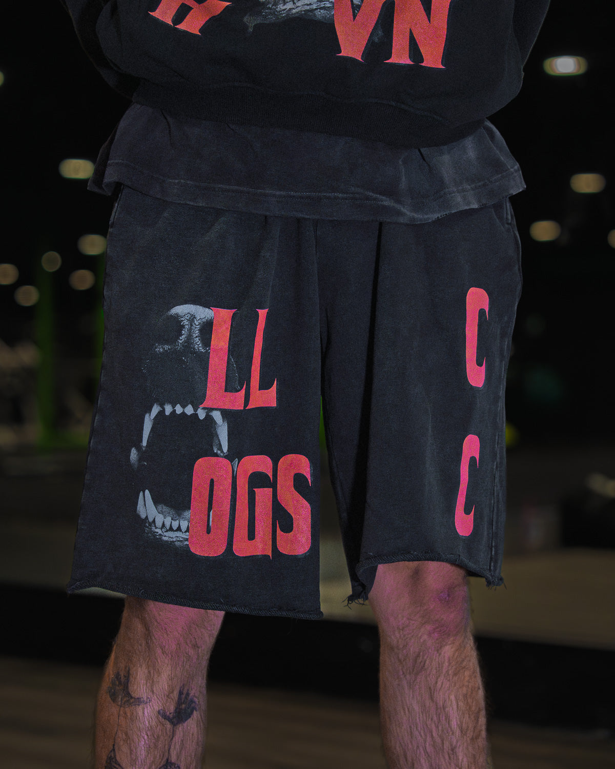 K9 SHORTS